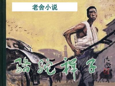 狼狼导航在线